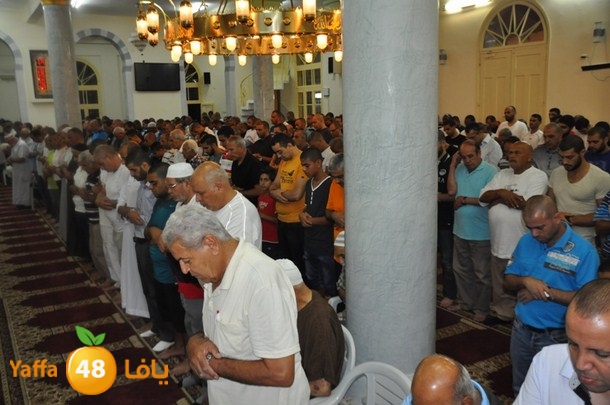 tarawe7 nozhas j (24).JPG